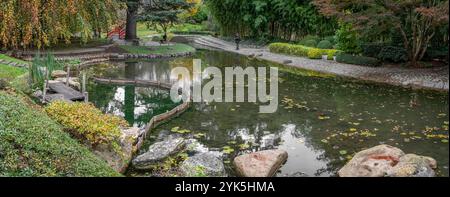 Boulogne-Billancourt, France - 11 12 2024 : jardin d'Albert Kahn. Pan9oramic vue d'un étang Koi, arbres colorés et feuilles d'érable rouge dans un gard japonais Banque D'Images