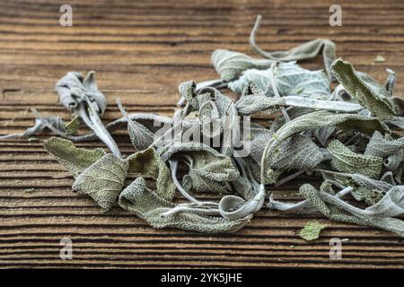 Feuilles de sauge séchées sur fond de bois rustique foncé Banque D'Images