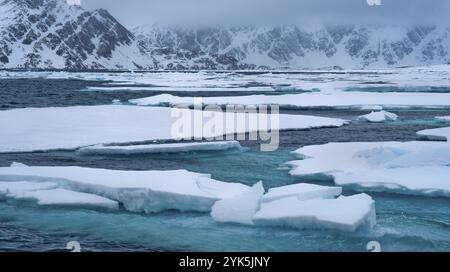 Dérive de la glace flottante et des montagnes enneigées, Albert I Land, Arctic, Spitsbergen, Svalbard, Norvège, Europe Banque D'Images