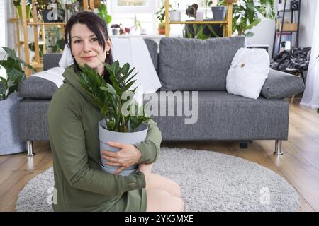 Zamioculcas sans prétention et populaire entre les mains d'une femme à l'intérieur d'une maison verte avec des collections de rayonnages de plantes domestiques. Récolte initiale Banque D'Images