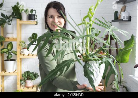 Grande élégance philodendron avec des feuilles sculptées dans les mains de la femme à l'intérieur d'une maison verte avec des collections de rayonnages de plantes domestiques. Hé Banque D'Images
