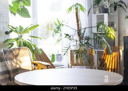 Table ronde vide pour l'installation et la démonstration du produit à l'intérieur avec des plantes tropicales d'intérieur dans la maison verte de campagne, la culture de plantes d'intérieur et Banque D'Images