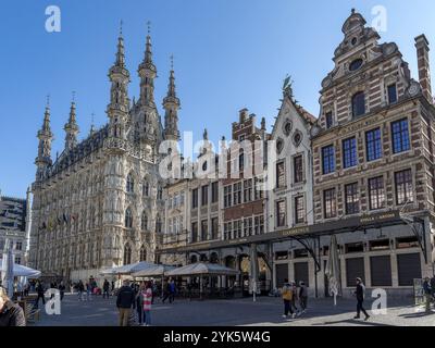 Bâtiment artistique Hôtel de ville de Louvain (Historisch Stadhuis van Leuven) de 1469 dans le style gothique tardif et bâtiments historiques sur la Grote Markt, Louvain, Banque D'Images