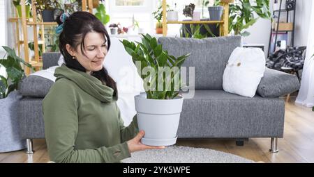 Zamioculcas sans prétention et populaire entre les mains d'une femme à l'intérieur d'une maison verte avec des collections de rayonnages de plantes domestiques. Récolte initiale Banque D'Images