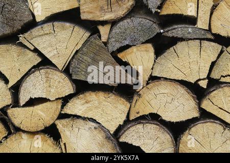 Pile de bois de chauffage préparé pour l'hiver. Bois d'épicéa Banque D'Images