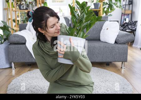 Zamioculcas sans prétention et populaire entre les mains d'une femme à l'intérieur d'une maison verte avec des collections de rayonnages de plantes domestiques. Récolte initiale Banque D'Images