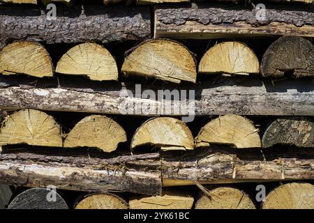 Pile de bois de chauffage préparé pour l'hiver. Bois d'épicéa Banque D'Images