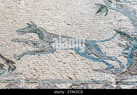 Une mosaïque de scène de chasse montrant un chien de chasse dans la Maison de Dionysos, parc archéologique de Paphos, Paphos, Chypre. Banque D'Images