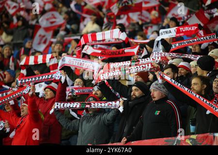 Vienne, Autriche. 17 novembre 2024. VIENNE, AUTRICHE - 17 NOVEMBRE : les fans de l'Autriche lors du match UEFA Nations League - League B Group B3 entre l'Autriche et la Slovénie au stade Ernst Happel le 17 novembre 2024 à Vienne, Autriche .241117 SEPA 07 020 - 20241117 PD8306 crédit : APA-PictureDesk/Alamy Live News Banque D'Images