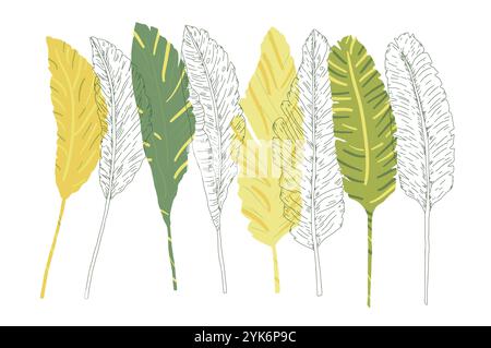 Illustration vectorielle de feuilles de banane boho tropicales avec des nuances vertes et jaunes, isolées sur un fond blanc. Composition créative minimaliste pour Illustration de Vecteur