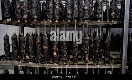 Production de saucisses maison. Les saucisses sont accrochées sur une grille dans un fumoir. Banque D'Images