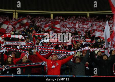 Vienne, Autriche. 17 novembre 2024. VIENNE, AUTRICHE - 17 NOVEMBRE : les fans de l'Autriche lors du match UEFA Nations League - League B Group B3 entre l'Autriche et la Slovénie au stade Ernst Happel le 17 novembre 2024 à Vienne, Autriche .241117 SEPA 07 070 - 20241117 PD12890 crédit : APA-PictureDesk/Alamy Live News Banque D'Images