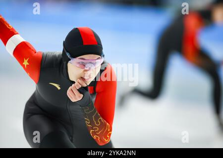 Aomori, Japon. 16 novembre 2024. Shihui Yu (CHN) patinage de vitesse : 2025 ISU quatre continents Championnats de patinage de vitesse femmes 500m au YS Arena Hachinohe à Aomori, Japon . Crédit : AFLO SPORT/Alamy Live News Banque D'Images