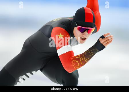 Aomori, Japon. 16 novembre 2024. Bin Liu (CHN) patinage de vitesse : 2025 ISU quatre continents Championnats de patinage de vitesse hommes 500m à YS Arena Hachinohe à Aomori, Japon . Crédit : AFLO SPORT/Alamy Live News Banque D'Images