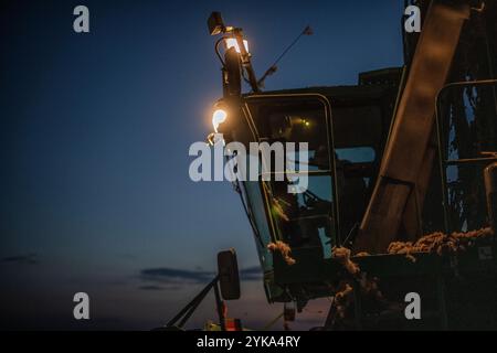 Le soleil s'est couché et le crépuscule colore le ciel, alors que les moissonneuses allument leurs lumières et travaillent jusque dans la soirée, pendant la récolte de coton Ernie Schirmer Farms qui a la famille, les autres agriculteurs et les travailleurs se regroupent pour les longues journées de travail, à Batesville, TX, le 23 août 2020. De 10 H à 22 h, les récolteuses sont conduites à travers les champs circulaires (irrigués par pivot). Les moissonneuses utilisent des têtes de récolte spécialisées qui tordent et tirent la boulette de coton douce de la plante ; puis les bolls de coton sont aspirés dans un grand bac à ciel ouvert. Lorsqu'il est plein, les opérateurs retournent à l'ind mobile Banque D'Images