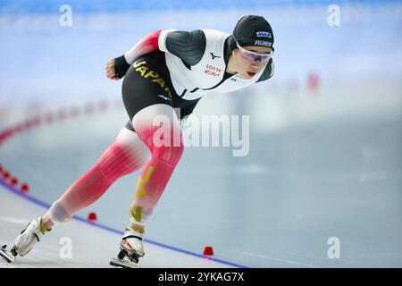 Aomori, Japon. 16 novembre 2024. Momoka Horikawa (JPN) patinage de vitesse : 2025 ISU quatre continents Championnats de patinage de vitesse femmes 3000m au YS Arena Hachinohe à Aomori, Japon . Crédit : AFLO SPORT/Alamy Live News Banque D'Images