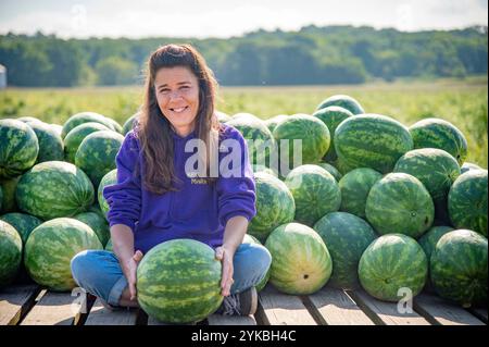 Sheena Krueger supervise les ouvriers qui récoltent 40 acres de pastèques de la ferme Krueger à l'extérieur de Letts, Iowa. La ferme, qui cultive également du cantaloup, des citrouilles, de la courge, des oignons, des poivrons, concombres, tomates et courgettes en vente sur leur propre stand ainsi que dans les épiceries locales font la promotion des produits cultivés localement. Ils participent également au Programme d'aide en cas de catastrophe non assurée de l'Agence des services agricoles (FSA), qui fournit une aide financière en cas de catastrophe naturelle qui cause des pertes de récolte ou empêche les semis afin d'aider les producteurs à recouvrer les coûts. Photo de Preston Keres Banque D'Images