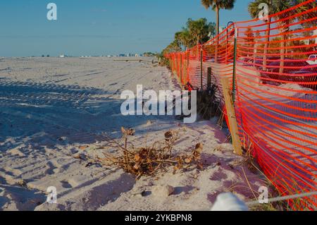 Vue large avec des lignes directrices sur la clôture de sécurité orange droite et des palmiers verts sur la plage vers le nord à côté du golfe du Mexique. Plage de dunes de sable Banque D'Images