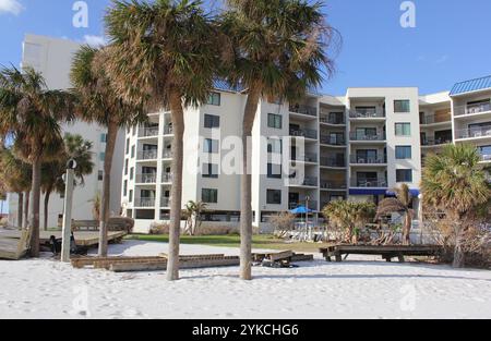 Palmiers et bâtiments sur St Pete Beach en Floride avec des dommages après l'ouragan Milton Banque D'Images