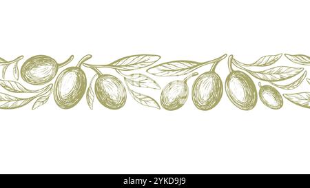 Bordure sans couture d'esquisse olive. Fruits gravés, feuilles. Vecteur vintage motif botanique, croquis dessiné à la main. Cuisine méditerranéenne, huile aromatique Illustration de Vecteur