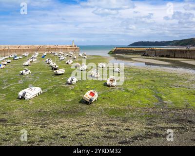 Binic, France - 21 juillet 2024 : Port de Binic à marée basse, avec des bateaux amarrés dans l'eau. Le rivage est visible avec des taches d'algues vertes Banque D'Images