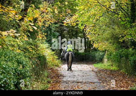 Les ruelles verdoyantes du Lancashire rural autour de Rivington Village England Royaume-Uni comme cheval et cavalier prendre une promenade dans le soleil d'automne Banque D'Images