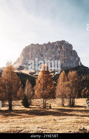 Blick auf den Langkofel vom Gebirgspass Grödner Joch im Naturpark Puez-Geisler im Herbst AM 09.11.2024. // vue du Sassolungo depuis le col de Grödner Joch dans le Parc naturel de Puez-Geisler en automne le 9 novembre 2024. - 20241109 PD20605 crédit : APA-PictureDesk/Alamy Live News Banque D'Images