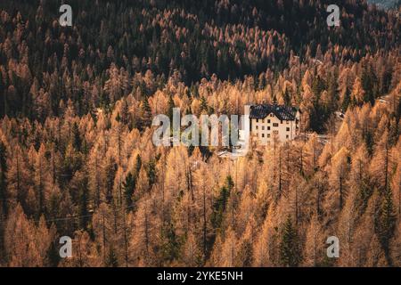 Blick vom Passo Falzarego, einem Dolomitenpass in der Region Venetien in der Provinz Belluno, und die herstlichen Lärchenwälder in Südtirol am 09.11.2024. // vue depuis le Passo Falzarego, un col des Dolomites dans la région de Vénétie dans la province de Belluno, et les forêts de mélèzes d'automne dans le Tyrol du Sud le 9 novembre 2024. - 20241109 PD20591 crédit : APA-PictureDesk/Alamy Live News Banque D'Images