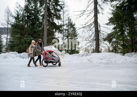 La jeune famille profite des vacances d'hiver dans les montagnes. Parents poussant les enfants dans la poussette de wagon à travers la forêt enneigée. Banque D'Images