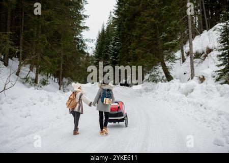 La jeune famille profite des vacances d'hiver dans les montagnes. Parents poussant les enfants dans la poussette de wagon à travers la forêt enneigée. Banque D'Images