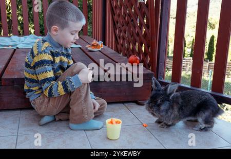 Garçon jouant avec le lapin sur la terrasse, nourrissant des pommes et des carottes Banque D'Images