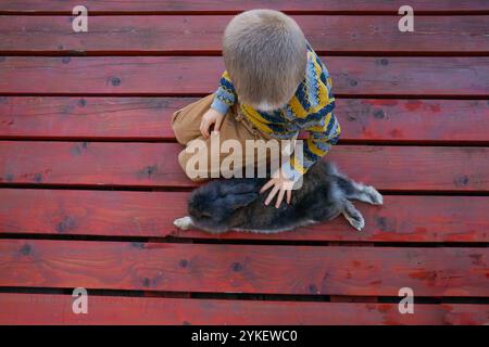 Un petit garçon caresse un lapin assis sur un plancher de bois Banque D'Images