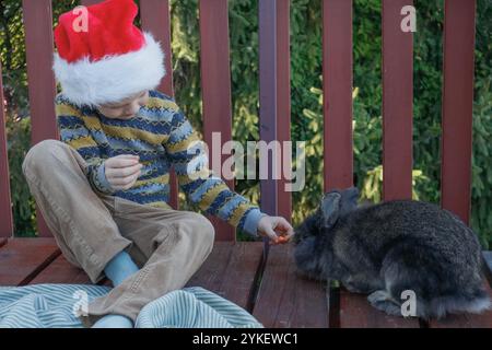 Garçon et lapin sur la terrasse avec chapeau de Père Noël Banque D'Images