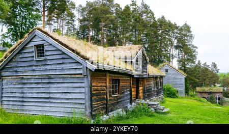 Musée Sunnmøre la Norvège et le musée Viking est un magnifique musée en plein air avec 56 maisons anciennes et distinctes Banque D'Images