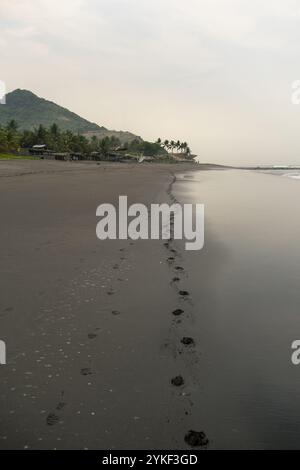 Vue matinale paisible de la plage de Mizata au Salvador, avec une côte sereine avec des pas frais traçant un chemin le long de sa rive sablonneuse, soutenu b Banque D'Images