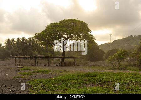 Une scène de coucher de soleil sereine à Mizata, El Salvador, mettant en vedette une cabane rustique sous un grand arbre le paysage tranquille dispose d'une toile de fond côtière, Palm tr Banque D'Images