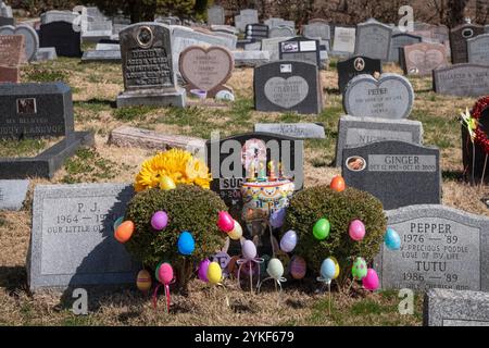 Pierres tombales de chien décorées pour Pâques et l'anniversaire d'un chien. Au cimetière canin de Hartsdale à Westchester, New York. Banque D'Images