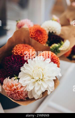 Une vue rapprochée de magnifiques dahlias variés allant des rouges profonds aux roses délicats et aux blancs croustillants, habillés de papier brun, disponibles Banque D'Images