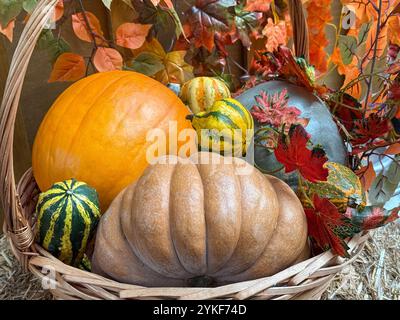 Une configuration de récolte d'automne vibrante et festive avec une variété de citrouilles et de courges dans un panier en osier, entouré de feuilles d'automne richement colorées et Banque D'Images