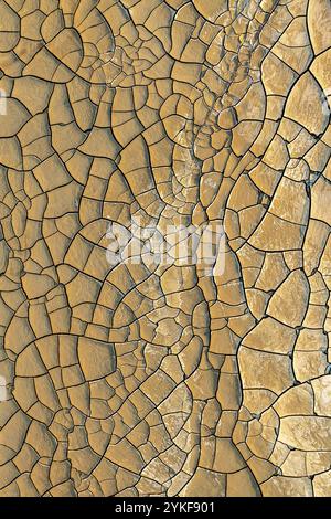 Vue rapprochée de la boue sèche et craquelée, présentant des textures et des motifs complexes sous la lumière chaude du soleil, évoquant un sentiment d'aridness et de design naturel. Banque D'Images