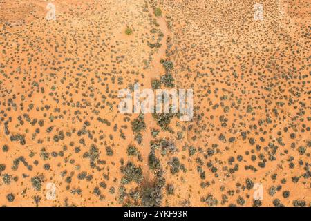 Vue d'en haut, cette image capture un sentier sinueux à travers le paysage désertique de l'Utah, entouré d'une végétation clairsemée et d'un sol aride. La perspicacité aérienne Banque D'Images