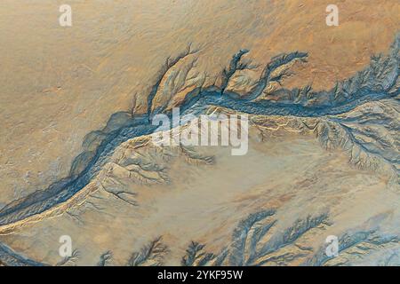 Une prise de vue aérienne capture les motifs complexes et les textures formés par des canaux de boue ressemblant à des arbres au milieu d'un paysage de terre sèche. Banque D'Images