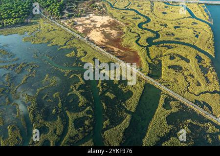 Une prise de vue aérienne capture les motifs complexes des marécages et des marais, avec des voies navigables sinueuses et une végétation luxuriante dans un paysage de marécage du sud du pays Banque D'Images