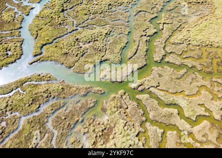 Une image capturée par drone montre un vaste complexe marécageux du sud, avec des canaux d'eau serpentants entourés d'une végétation marécageuse luxuriante Banque D'Images