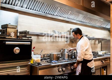 Un chef dévoué prépare méticuleusement de nombreux plats dans une cuisine moderne et animée du restaurant avec des équipements de pointe en acier inoxydable Banque D'Images