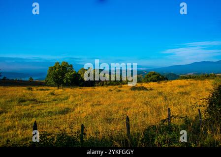 Beau panorama de ciel bleu et de pâturages jaunis par le soleil d'été sur le chemin de nouveaux Francis à la Pieve di Santo Stefano à assise, Toscane, Ita Banque D'Images