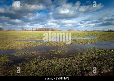 Eau sur le terrain et nuages sur le ciel, Nowiny, Pologne Banque D'Images