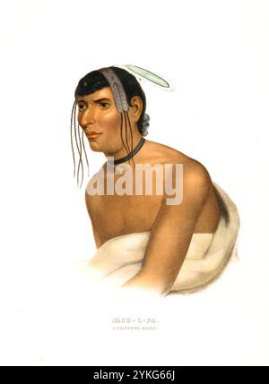 Indiens, Amérindiens d'Amérique du Nord, Jack-O-Pa, a Chief of the Chippewa, États-Unis d'Amérique, USA, peinture de Charles Bird King (1785 - 1862), vers 1840, historique, reproduction restaurée numériquement à partir d'un original du XIXe siècle, date d'enregistrement non indiquée, Indianer, Ureinwohner von Nordamerika, ein Häuptling der Chippewa, Vereinigte Staaten von Amerika, Gemälde Charles Bird King (1785 - 1862), um 1840, Digital Reproduika. Jahrhundert Banque D'Images