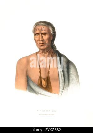 Indiens, Amérindiens, Lap-Pa-Win-Soe, a Chief of the Delaware, United States of America, USA, peinture de Charles Bird King (1785 - 1862), vers 1840, historique, reproduction restaurée numériquement à partir d'un original du XIXe siècle, date d'enregistrement non indiquée, Indianer, Ureinwohner von Nordamerika, ein Häuptling der Delaware, Vereinigte Staaten von Amerika, Gemälde von Charles Bird King (1785 - 1862), UM 1840, Historian Von Reproduik, Digital Reprodution Von ik. Jahrhundert Banque D'Images