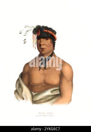 Indiens, Amérindiens, Wesh-Cubb, chef de la tribu Chippeway, États-Unis d'Amérique, USA, peinture de Charles Bird King (1785 - 1862), vers 1840, historique, reproduction numérisée d'un original du 19e siècle, date d'enregistrement non indiquée, Indianer, Ureinwohner von Nordamerika, Häuptling vom Stamm der Chippeway, Vereinigte Staaten von Amerika, Gemälde von Charles Bird King (1785 - 1862), Von Restaurika, Von Digital Producer, 1840, Von. Jahrhundert Banque D'Images